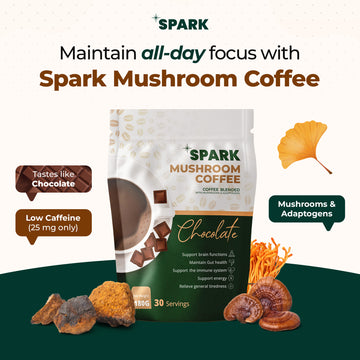 Chocolate Mushroom Coffee